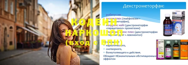 гидра Верхний Тагил
